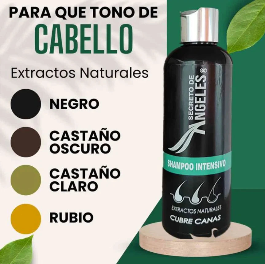 Shampoo Cubre Canas Secreto de Ángeles + Colageno y Exfoliante GRATIS!! - GRAN OFERTA 3X2!!!🔥🔥