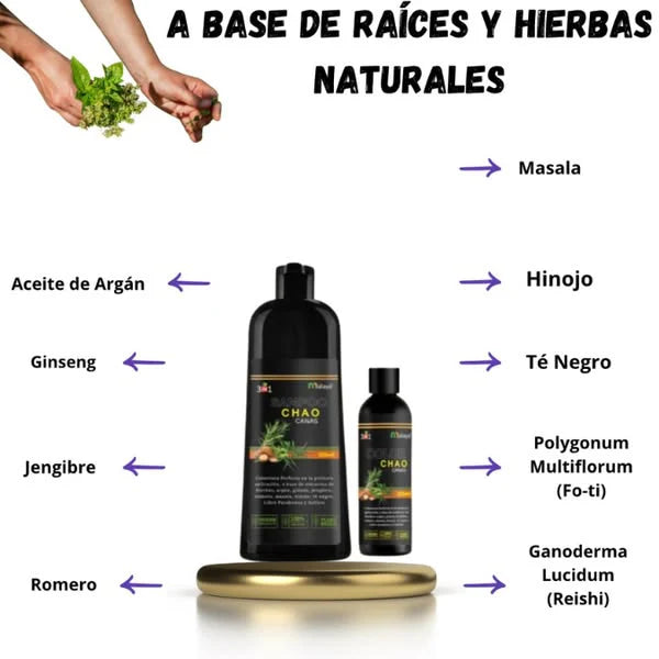 Chao Canas® | Shampoo Cubra Canas 3 in 1 + Tratamiento de Regalo