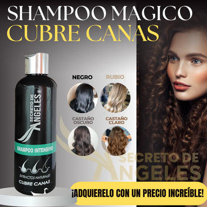 Shampoo Cubre Canas Secreto de Ángeles + Colageno y Exfoliante GRATIS!! - GRAN OFERTA 3X2!!!🔥🔥