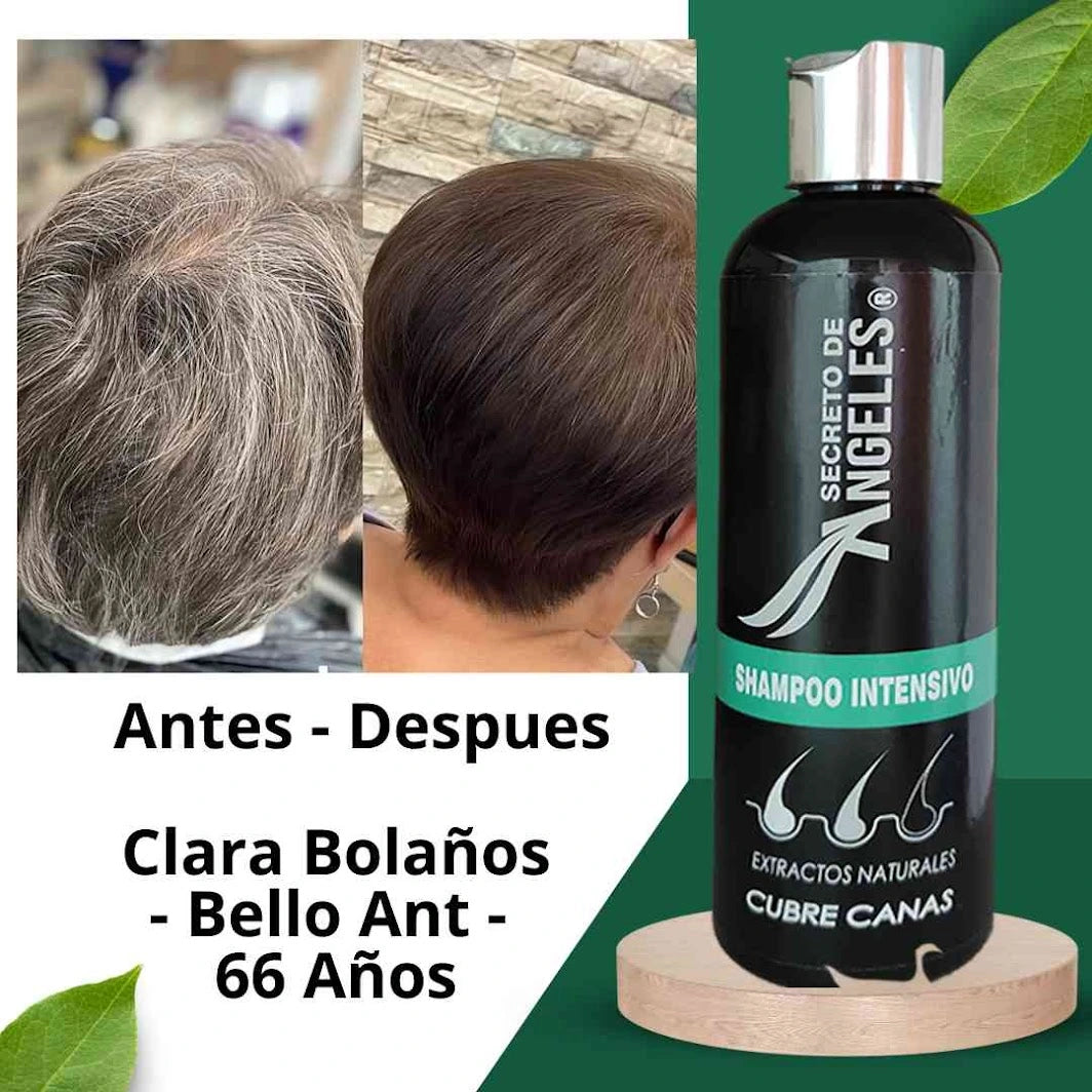 Shampoo Cubre Canas Secreto de Ángeles + Colageno y Exfoliante GRATIS!! - GRAN OFERTA 3X2!!!🔥🔥